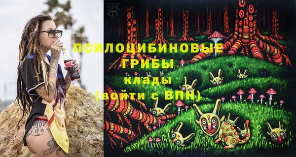 амфетамин Алексин