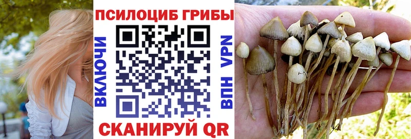 MEGA вход  Новосибирск  Галлюциногенные грибы ЛСД 