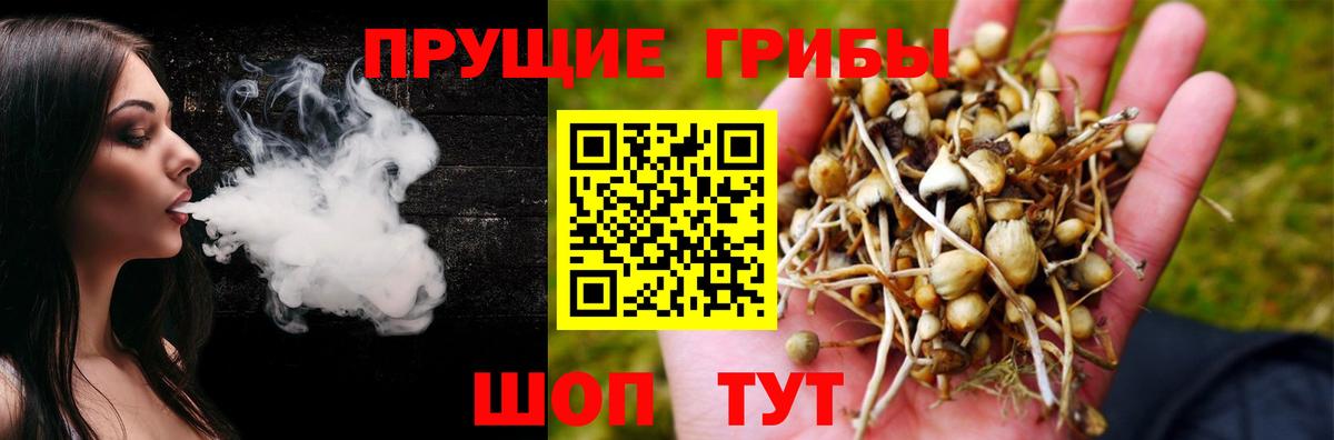 Новосибирск  Галлюциногенные грибы прущие грибы  Вход с VPN 